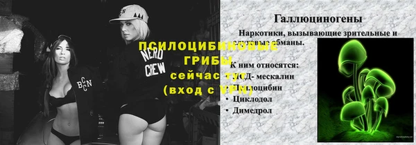 мяу мяу мука Абинск