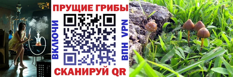 где купить наркоту  Лабытнанги  Галлюциногенные грибы мухоморы 